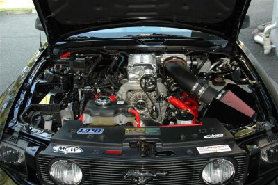DSC_8175 (Large).JPG
