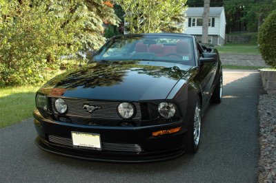 DSC_8181 (Large).JPG