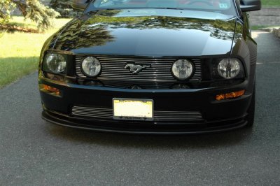 DSC_8186 (Large).JPG