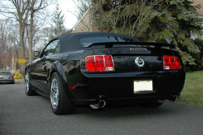 DSC_8608 (Large).JPG