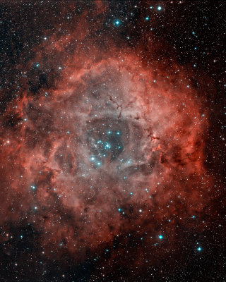 Rosette Nebula (DSS Red & Blue Plates)