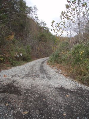 PA280011.JPG