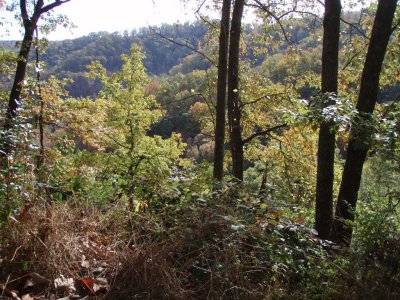 PA290040.JPG