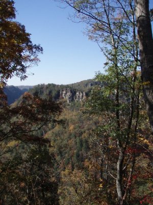PA290045.JPG