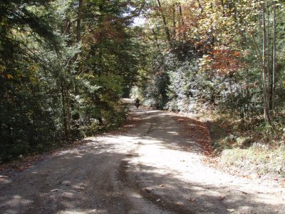 PA290053.JPG