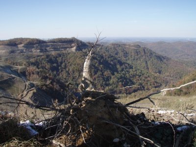 PA290087.JPG