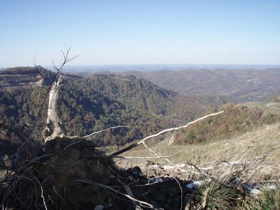PA290088.JPG