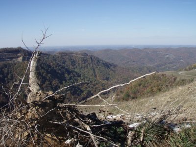 PA290089.JPG