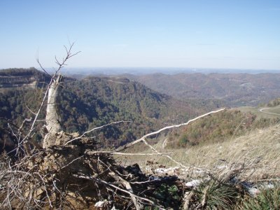 PA290090.JPG