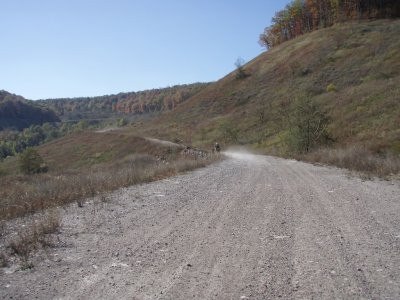 PA300129.JPG
