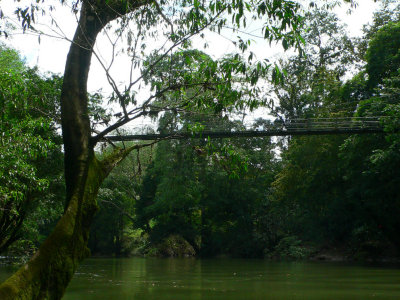 La Selva Bridge