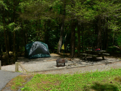 Campsite at Hurricane Campground