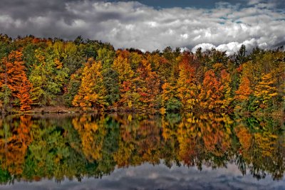 Fall Pond.jpg
