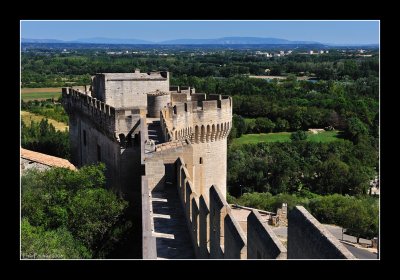 Villeneuve-ls-Avignon - Provence 15 (EPO_4977)
