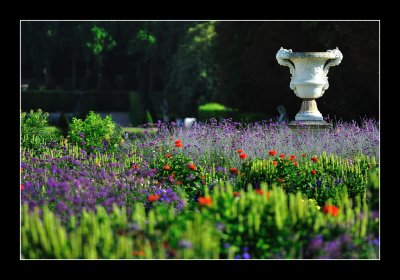 Vaux le Vicomte (EPO_4544)