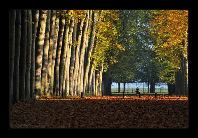 Versailles gardens (EPO_5655)