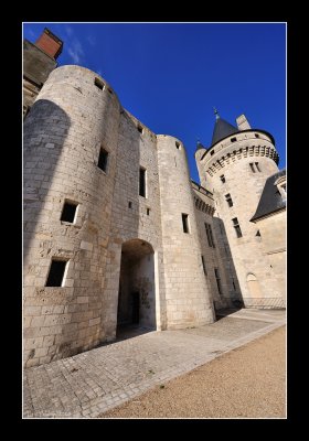 Chateau de Sully sur Loire (EPO_5823)