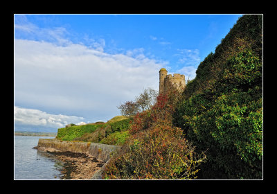 Saint Vaast la Hougue (EPO_5898)