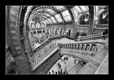 Natural History Museum - London (EPO_7348)