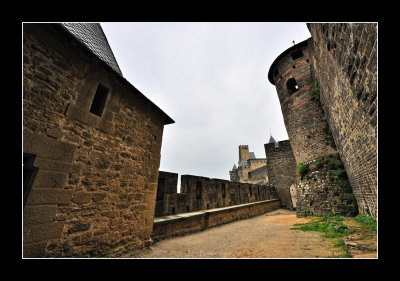La Cit de Carcassonne (EPO_7696)