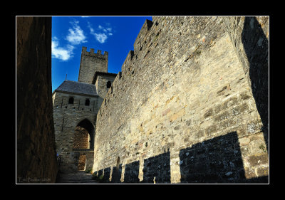 La Cit de Carcassonne (EPO_10553)