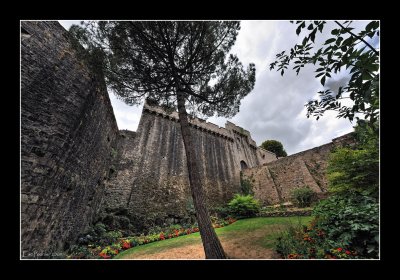 Chateau de Clisson (EPO_10252)