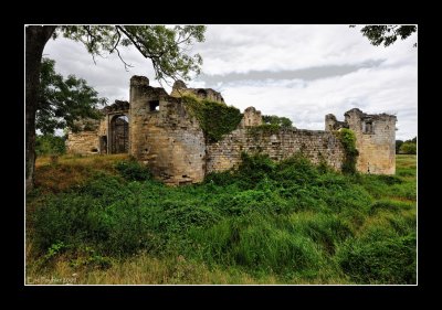 Forteresse mdivale de Blanquefort (EPO_10434)