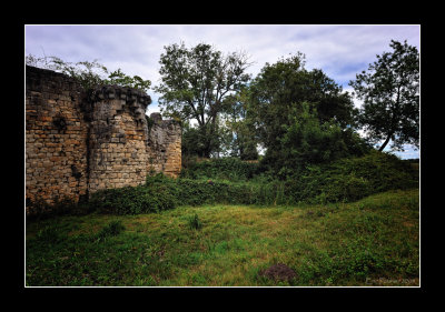 Forteresse mdivale de Blanquefort (EPO_10443)