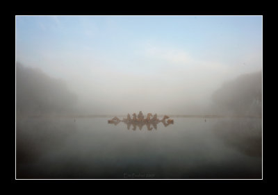 Versailles - misty morning (EPO_12220)