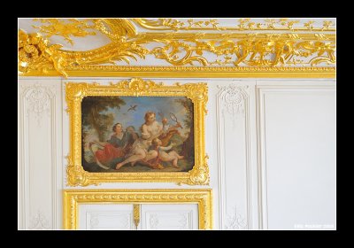 Inside Versailles Palace 10
