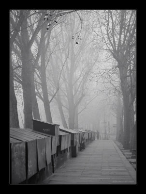Paris misty morning 1