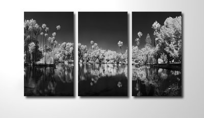 This image has been printed at 4'x8' for each part of the triptych, totally 12' wide by 8' high.