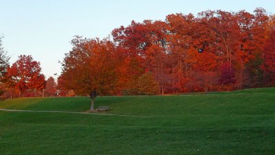 Fall Colors