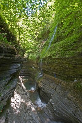 Watkins Glen State Park