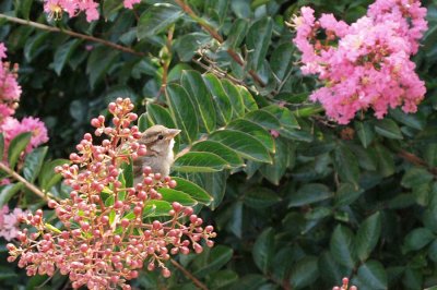 w-P7100077.jpg