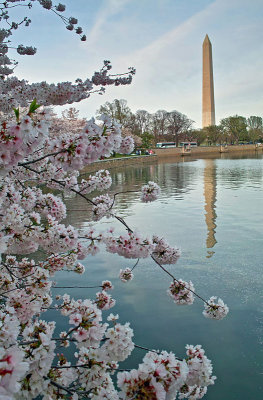 Tidal Basin & Monument