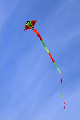 13 Feb 2009