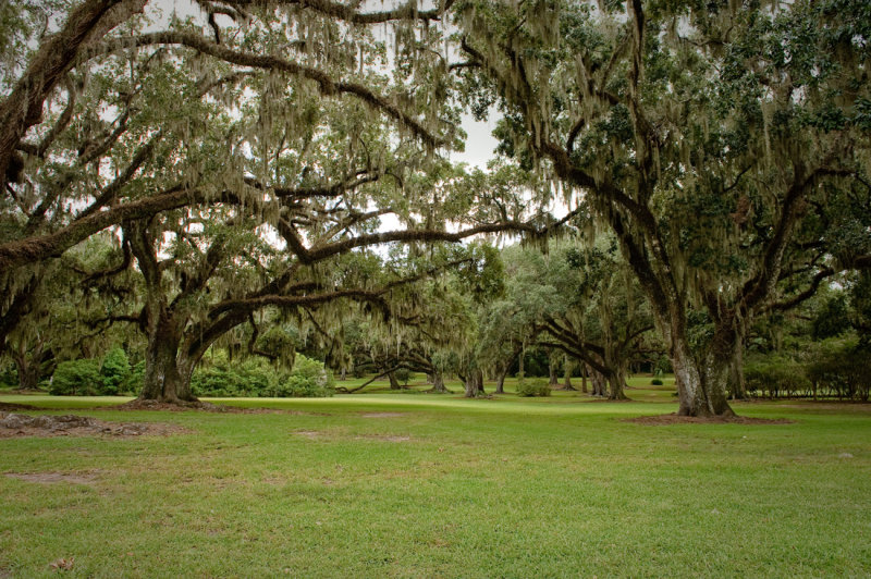 Tabasco081509 290-.jpg