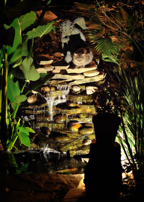 BrownieAtPond_0927.jpg