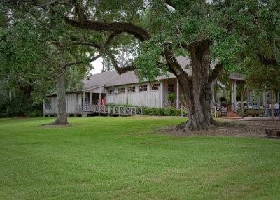 Tabasco081509 282-.jpg