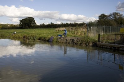 Mills Stream, Swindon.jpg