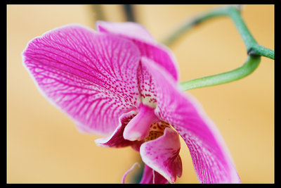 0726