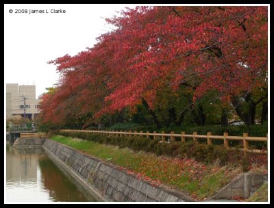 Autumn Colour