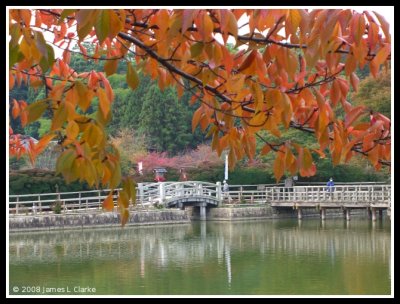 Framing the bridge