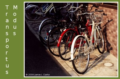 Modus Transportus