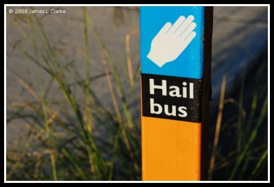 Hail bus!