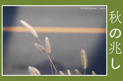 First Signs of Autumn