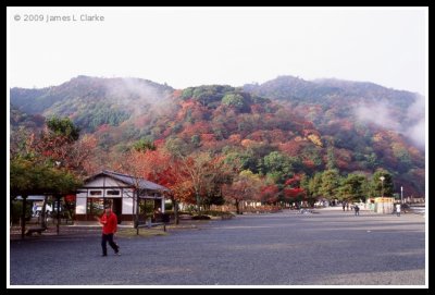 Colour from the Park