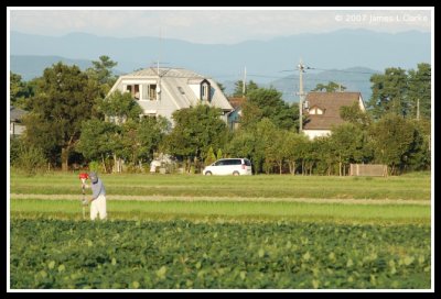 Working the Field