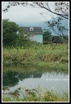 A Blue House